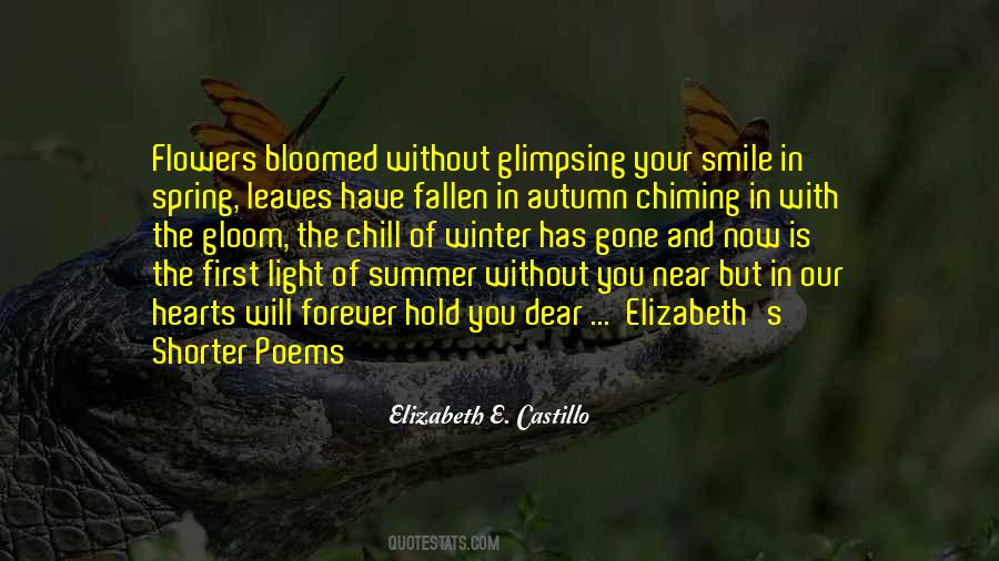 Elizabeth E. Castillo Quotes #584158