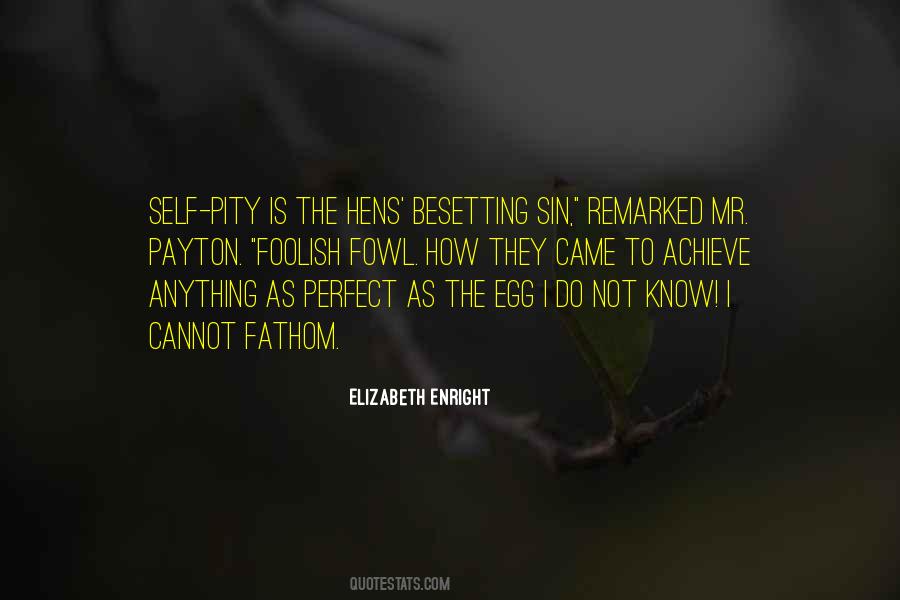 Elizabeth Enright Quotes #110134
