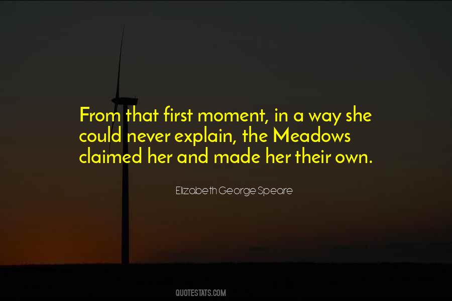 Elizabeth George Speare Quotes #1567168