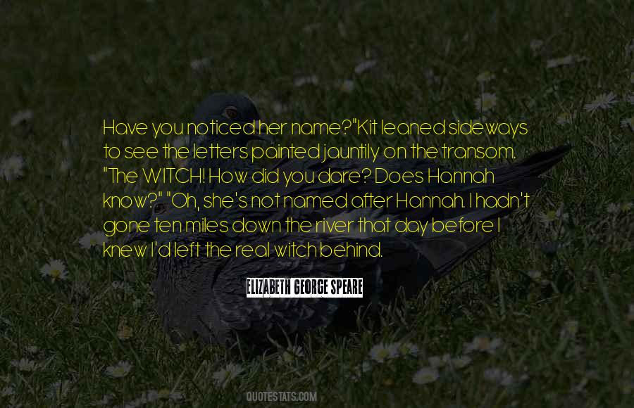Elizabeth George Speare Quotes #545922