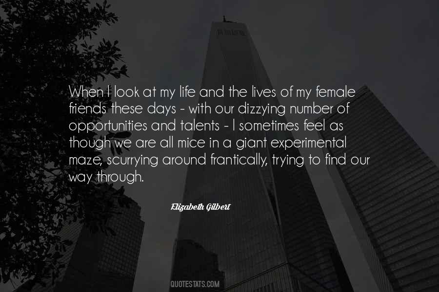Elizabeth Gilbert Quotes #4671