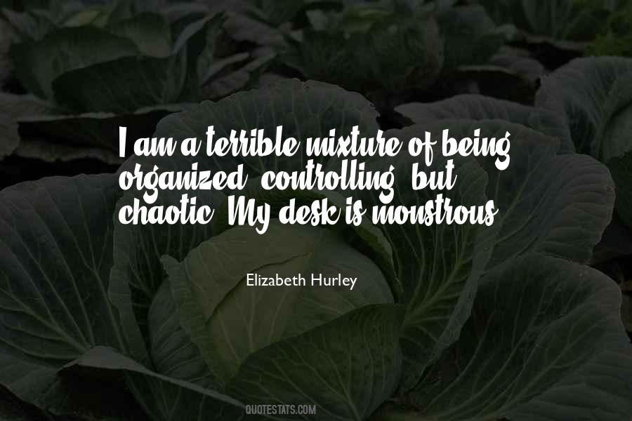 Elizabeth Hurley Quotes #543112