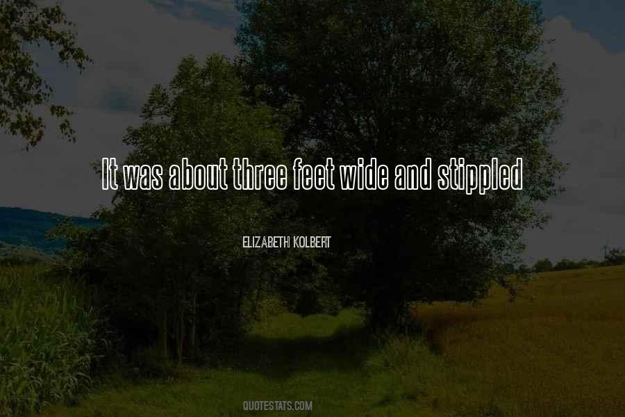 Elizabeth Kolbert Quotes #1495709