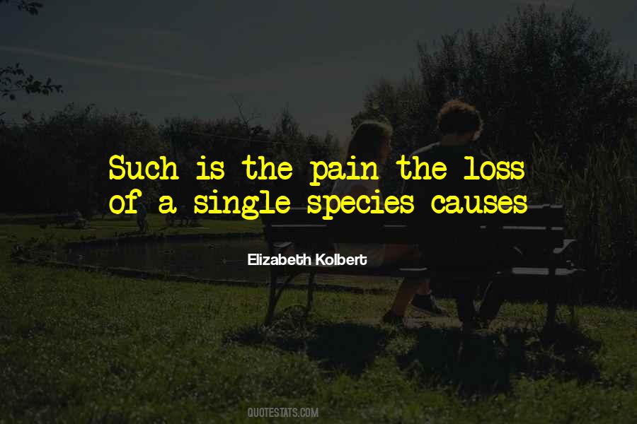 Elizabeth Kolbert Quotes #335118