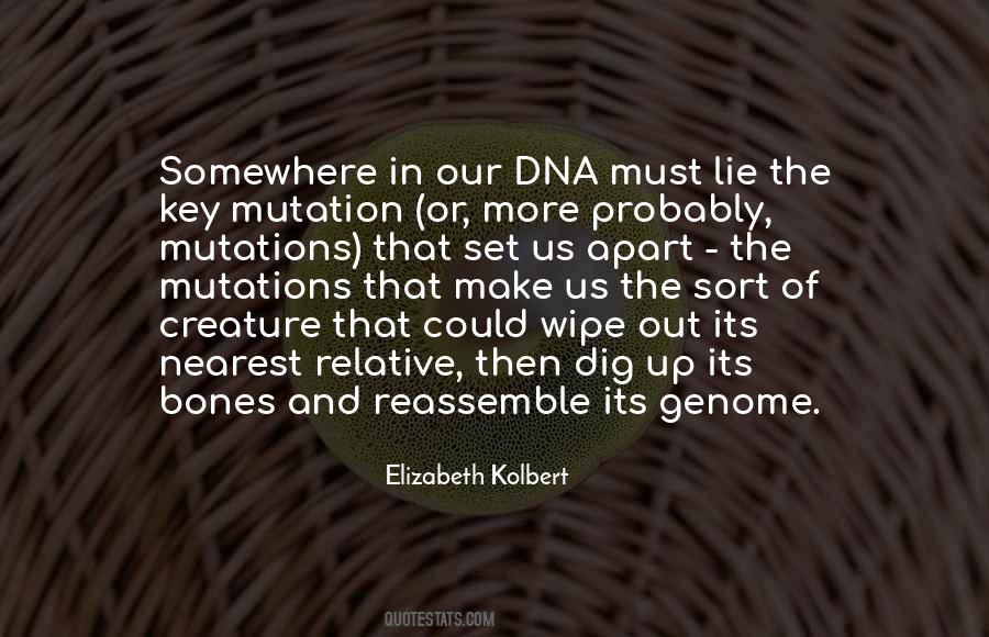 Elizabeth Kolbert Quotes #971221