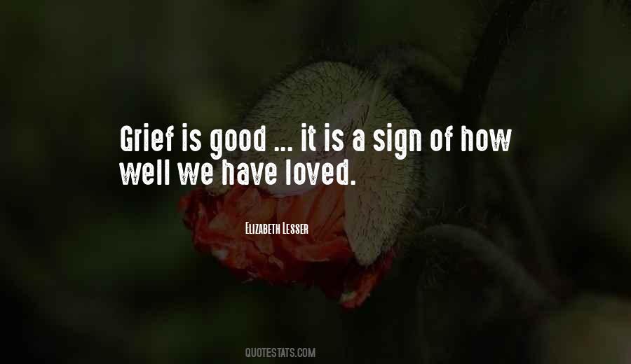 Elizabeth Lesser Quotes #925567