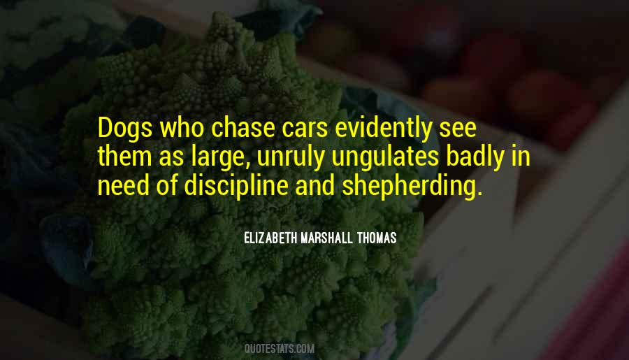 Elizabeth Marshall Thomas Quotes #1278822