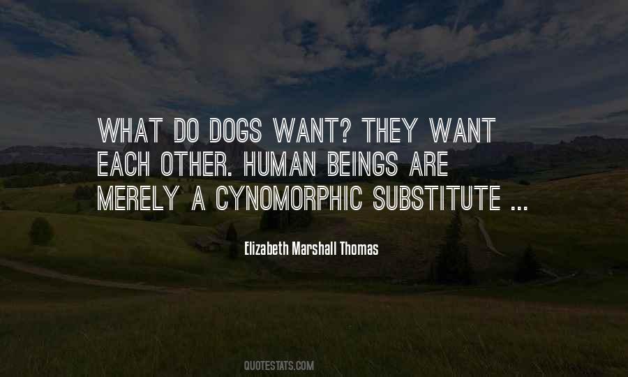 Elizabeth Marshall Thomas Quotes #1701593