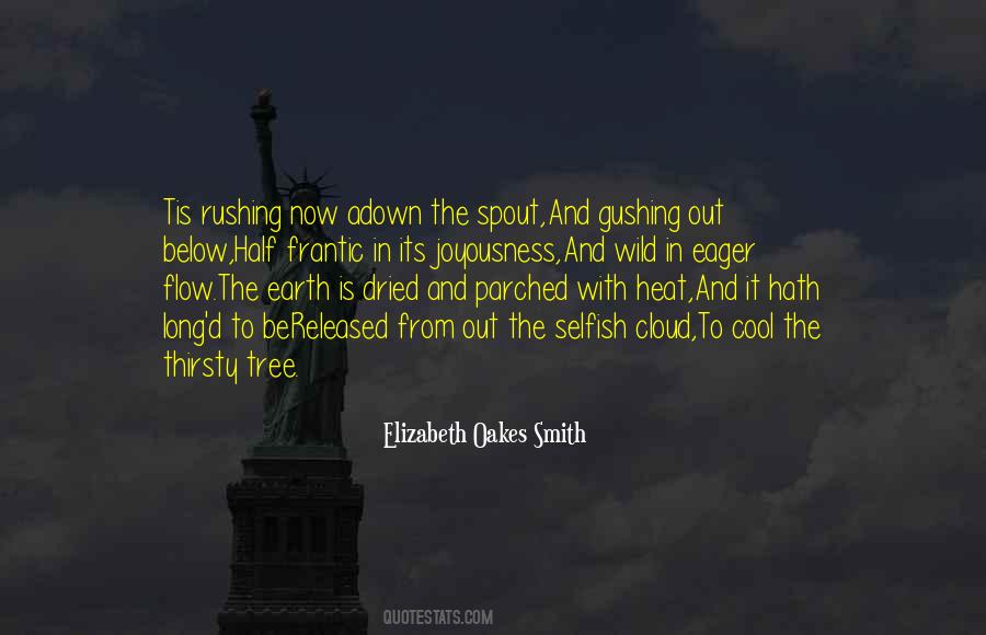 Elizabeth Oakes Smith Quotes #281957 Elizabeth Oakes Smith Quotes #281957