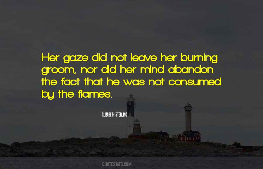 Elizabeth Sterling Quotes #482061