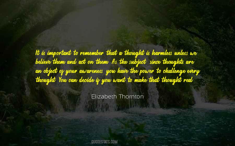 Elizabeth Thornton Quotes #1488579