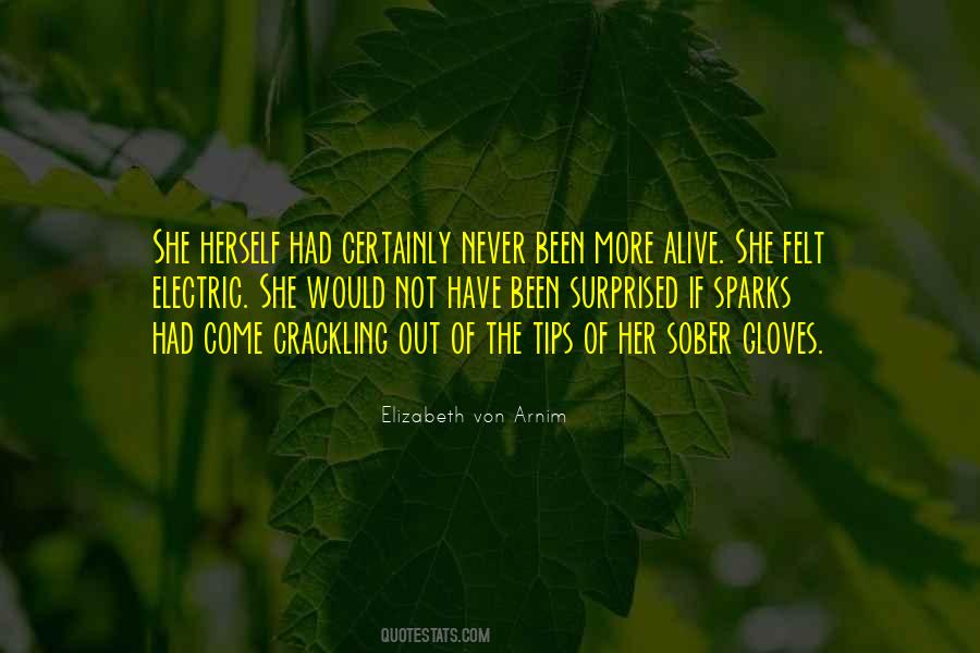 Elizabeth Von Arnim Quotes #162571