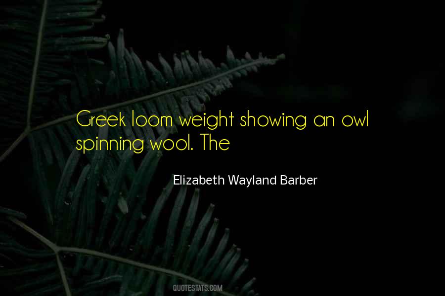 Elizabeth Wayland Barber Quotes #987514