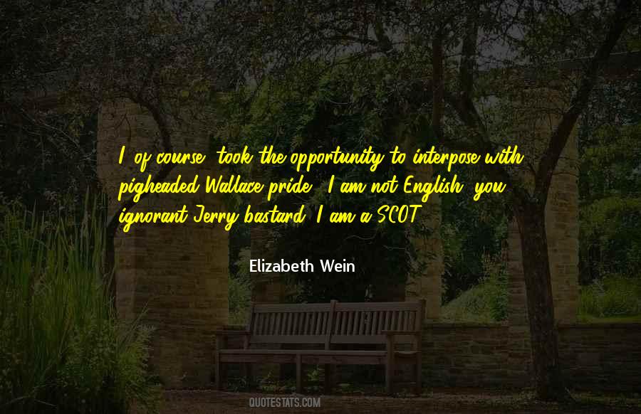Elizabeth Wein Quotes #1732317