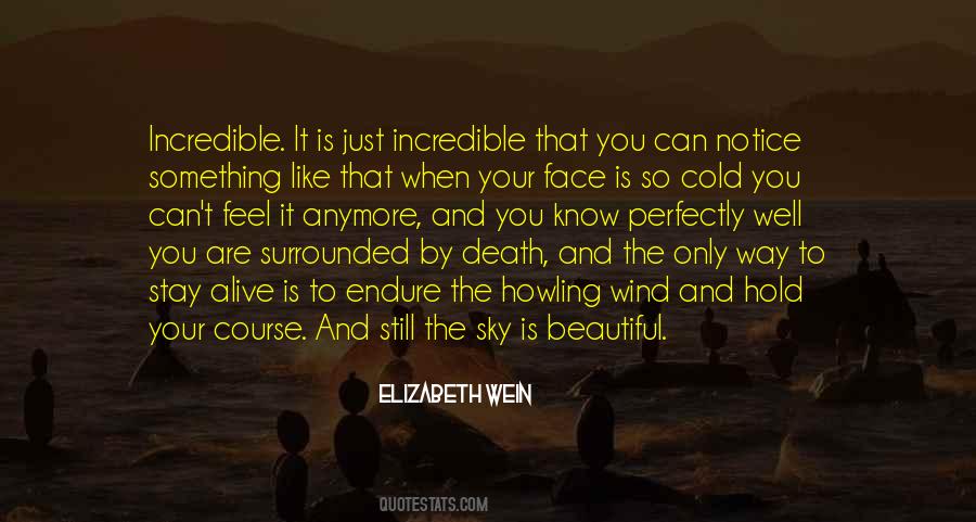 Elizabeth Wein Quotes #81141