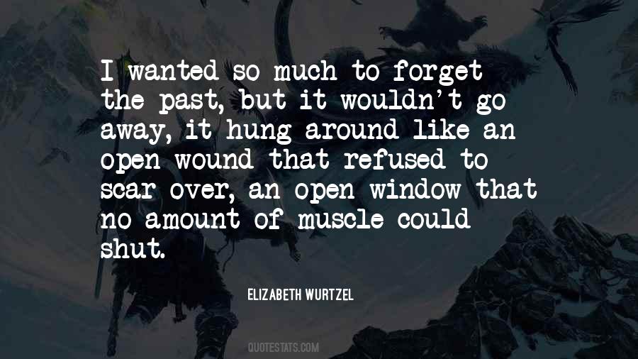 Elizabeth Wurtzel Quotes #1636359