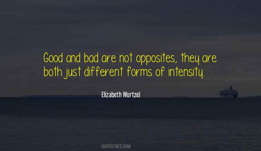 Elizabeth Wurtzel Quotes #1726328