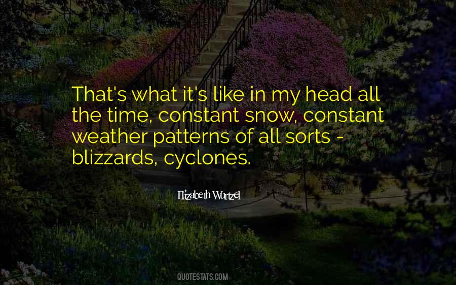 Elizabeth Wurtzel Quotes #959800