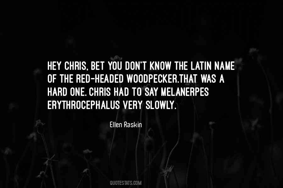 Ellen Raskin Quotes #1494544