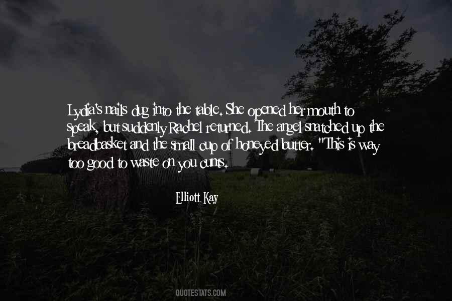 Elliott Kay Quotes #702496