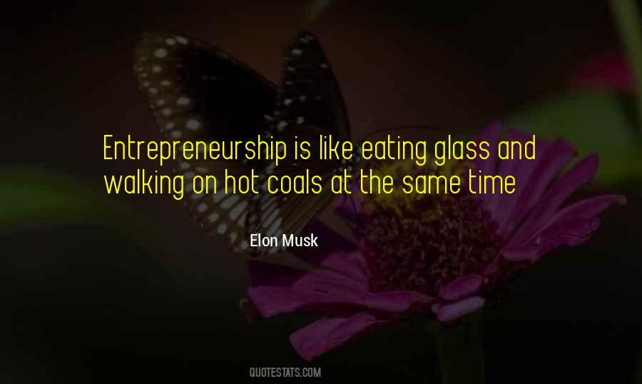 Elon Musk Quotes #1397072