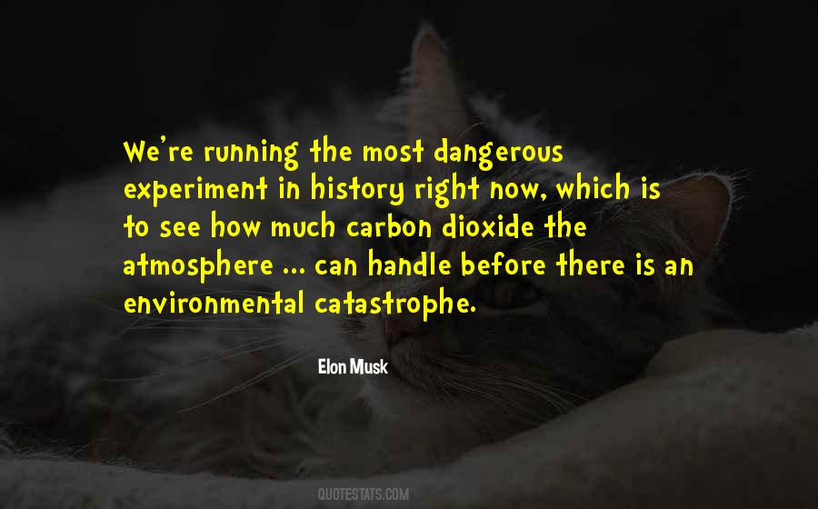 Elon Musk Quotes #200130