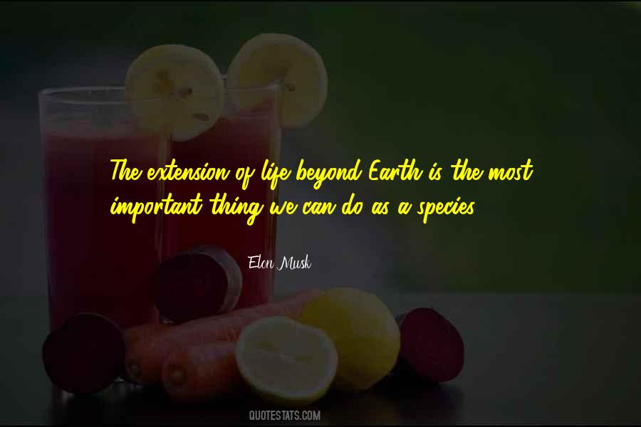 Elon Musk Quotes #746948