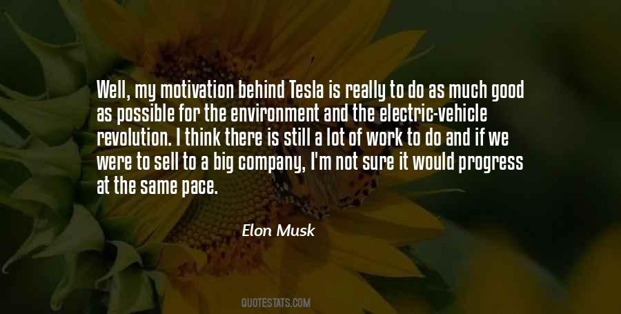Elon Musk Quotes #801907