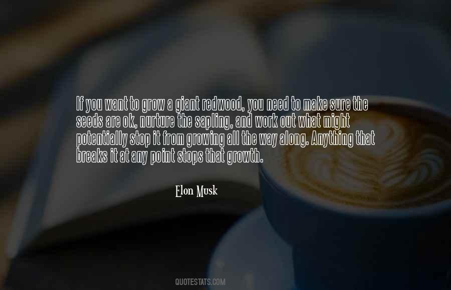 Elon Musk Quotes #868271