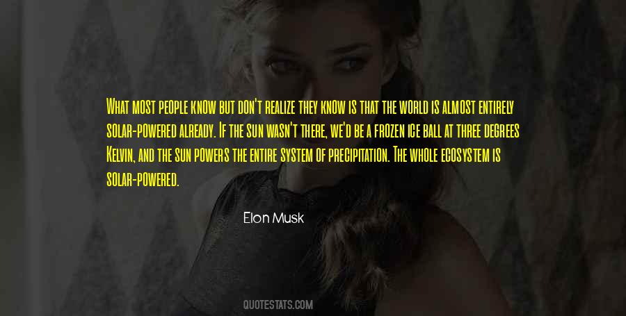 Elon Musk Quotes #964516