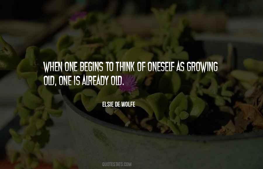 Elsie De Wolfe Quotes #747197