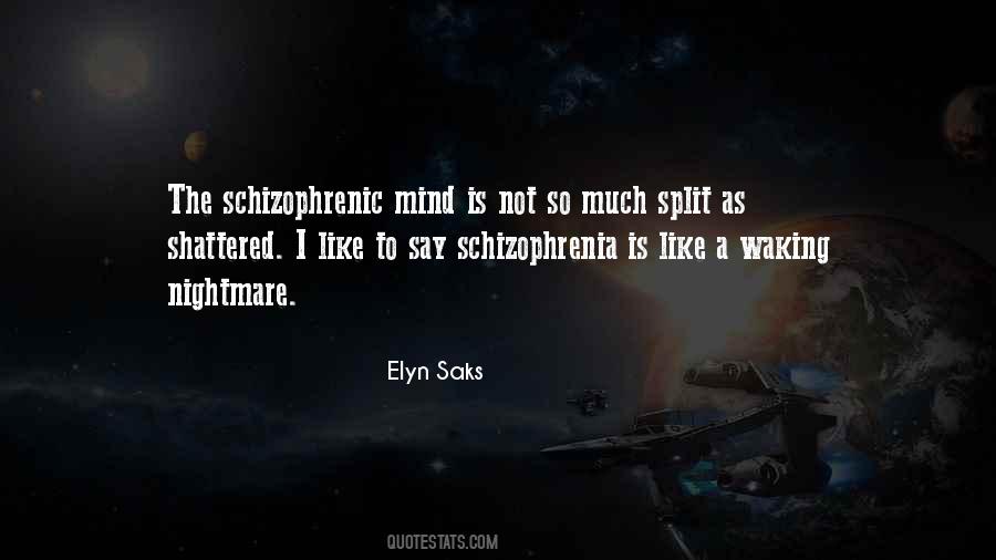 Elyn Saks Quotes #988863