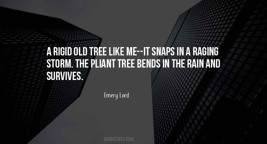 Emery Lord Quotes #687137