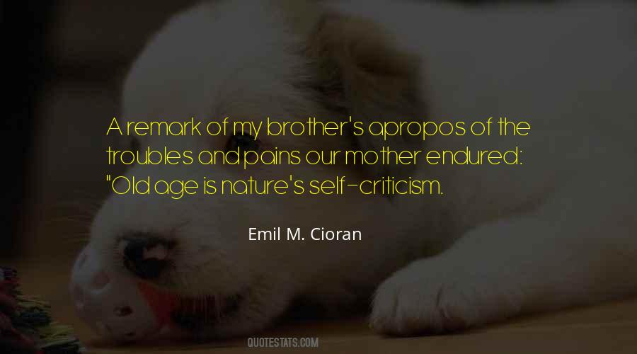 Emil M. Cioran Quotes #341422