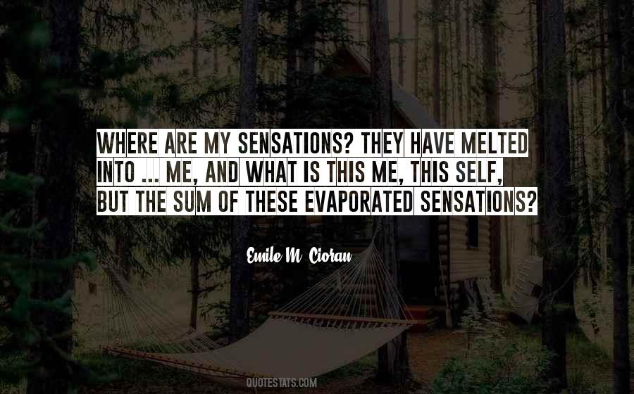 Emile M. Cioran Quotes #886214