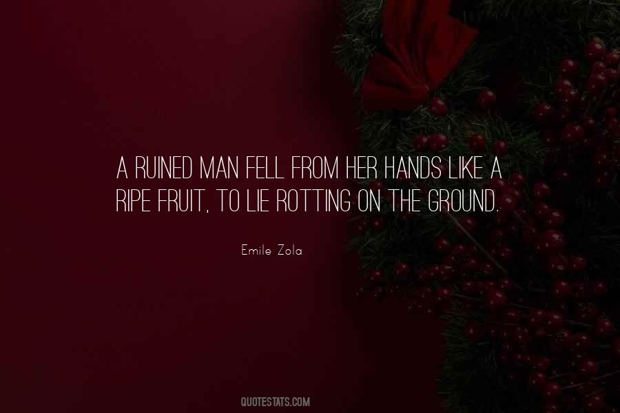 Emile Zola Quotes #1658758