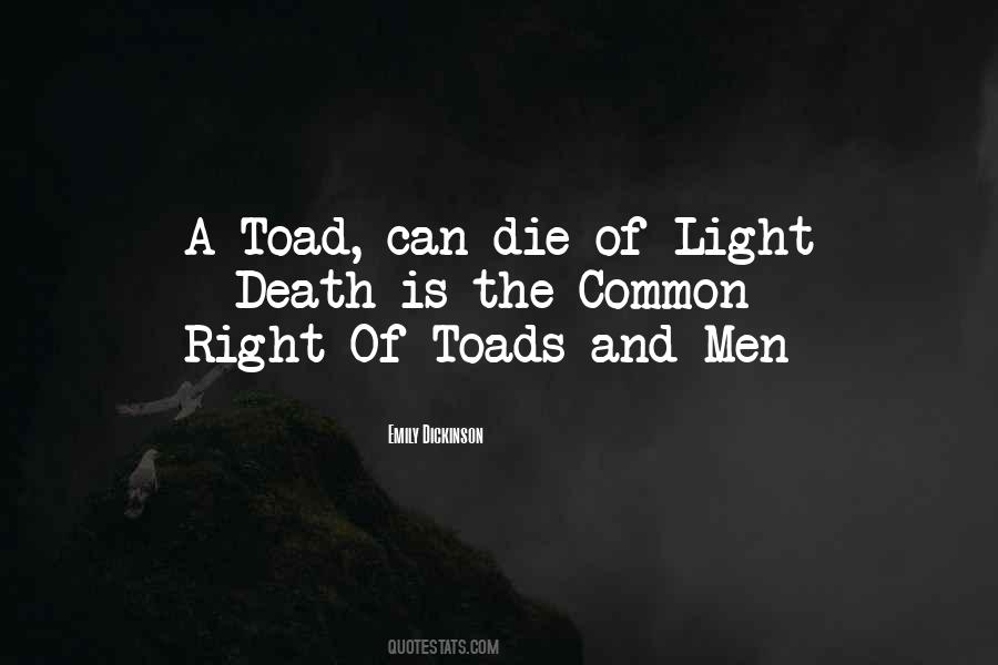 Emily Dickinson Quotes #193813