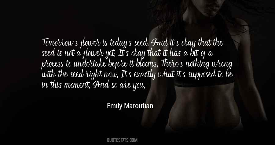 Emily Maroutian Quotes #970310