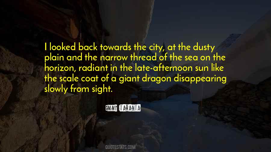 Emmi Itaranta Quotes #145625