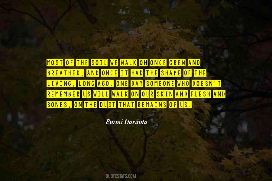 Emmi Itaranta Quotes #620053