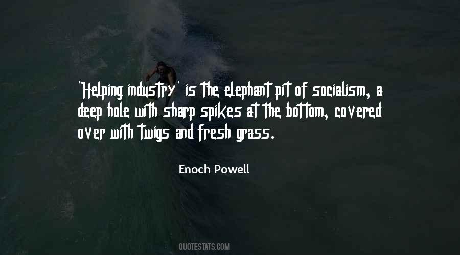Enoch Powell Quotes #621256