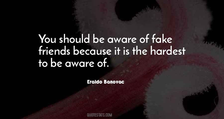 Eraldo Banovac Quotes #194822