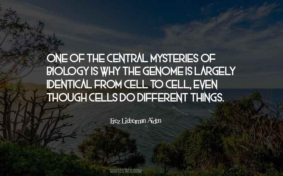 Erez Lieberman Aiden Quotes #1792000