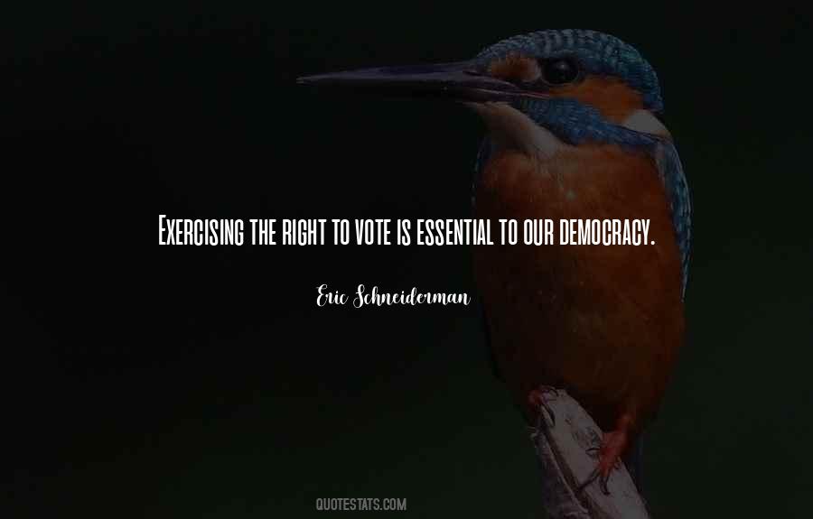Eric Schneiderman Quotes #517179