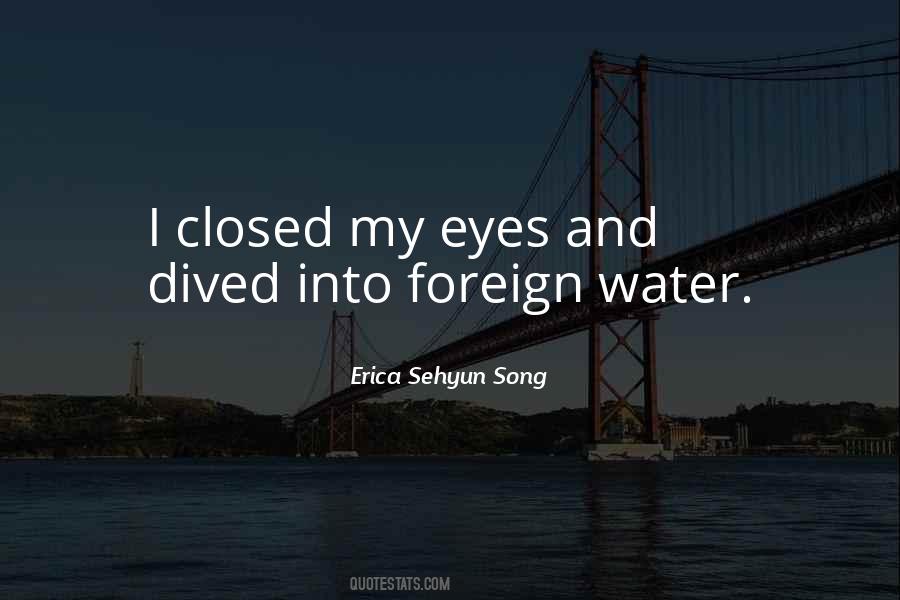 Erica Sehyun Song Quotes #1145778