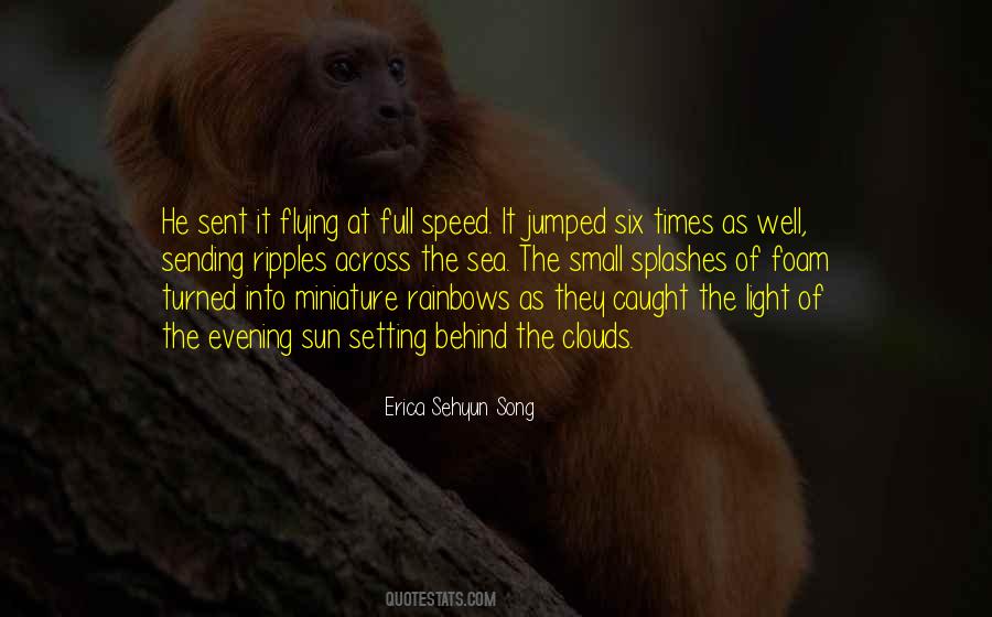Erica Sehyun Song Quotes #1151753