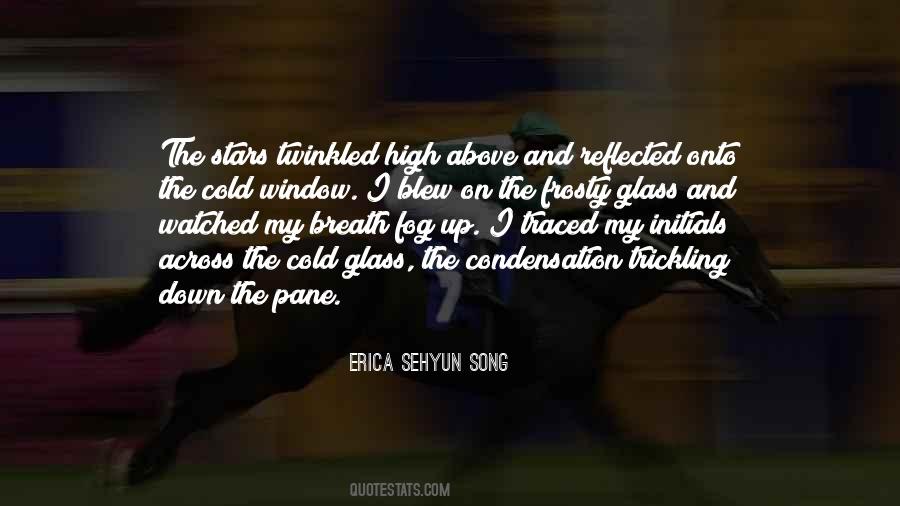 Erica Sehyun Song Quotes #1818152
