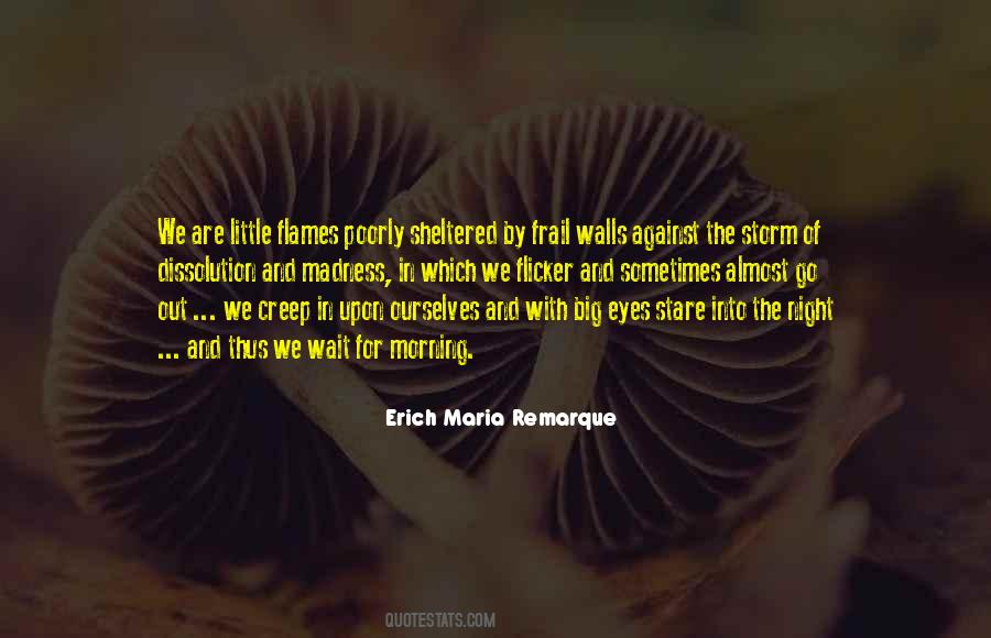 Erich Maria Remarque Quotes #750827