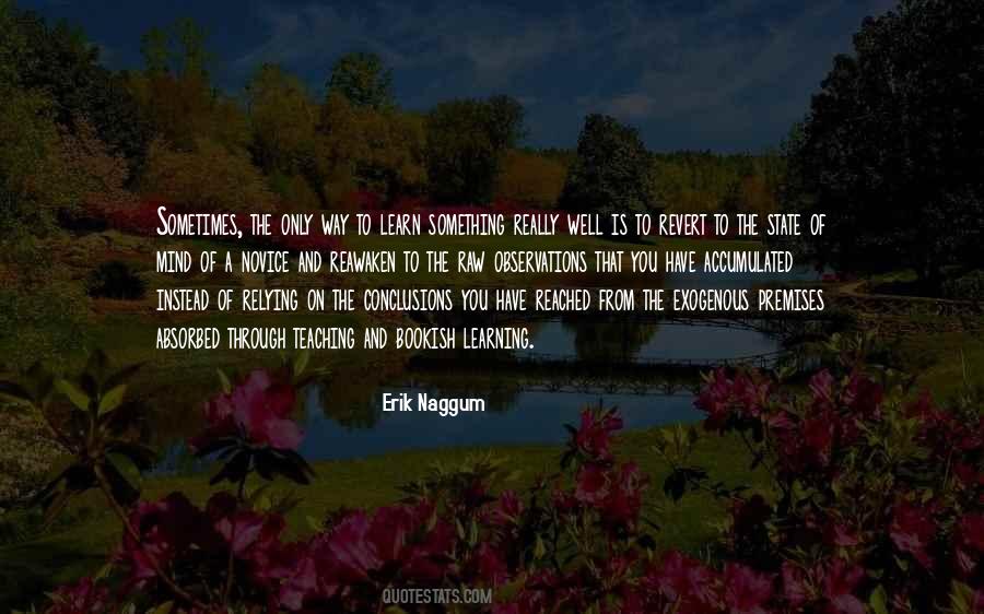 Erik Naggum Quotes #475214