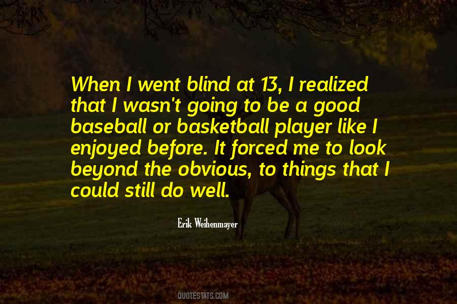 Erik Weihenmayer Quotes #425021